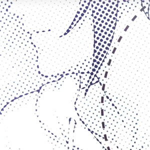 久久精品国模无码一二区
