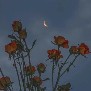 久久精品国模无码一二区
